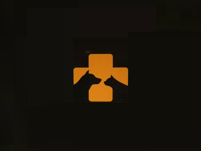 Veterinária Amigo Bicho – Clínica Completa para seu Pet